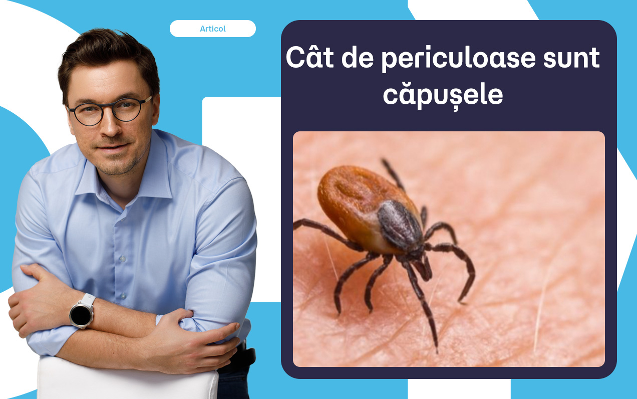 Cât de periculoase sunt căpușele și ce trebuie să faci dacă ai fost mușcat