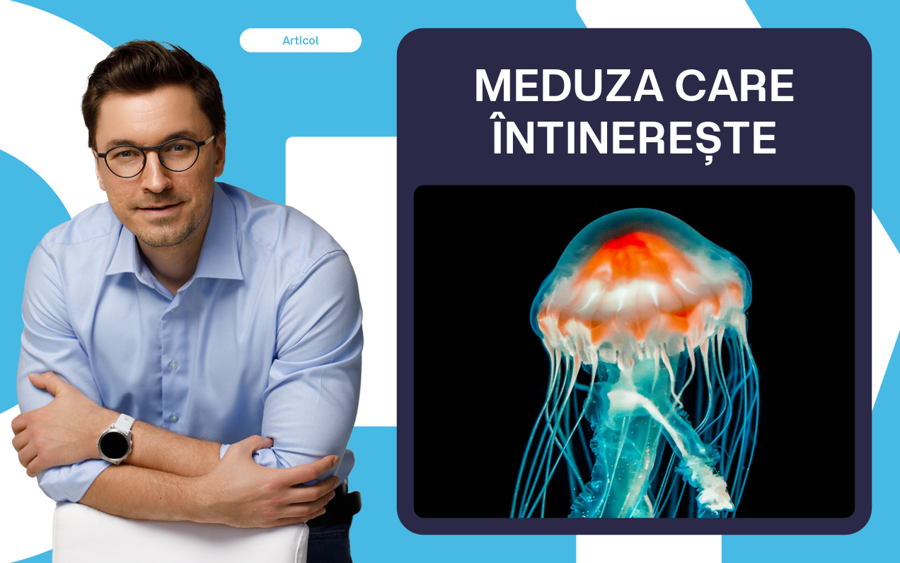 Meduza care își dă ceasul înapoi: ce ne învață despre îmbătrânire